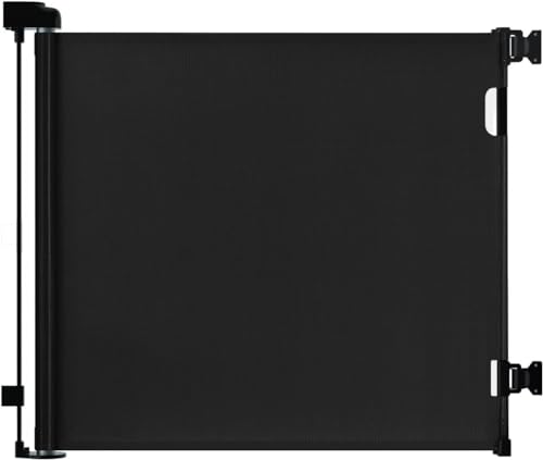 315n7yEB6mL._SL500_